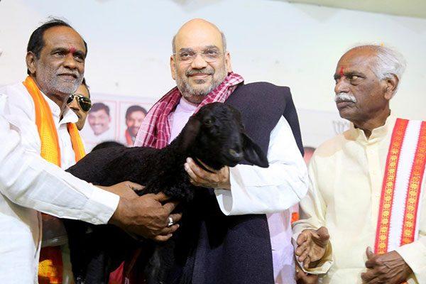 Amit Shah Shocked, the Reality of BJP in Telangana!