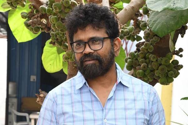 Jr-NTR-Could-Have-Done-Better-than-Ram-Charan!---Sukumar